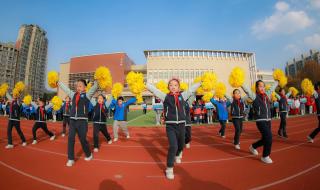 板桥小学跟谷里小学哪个好